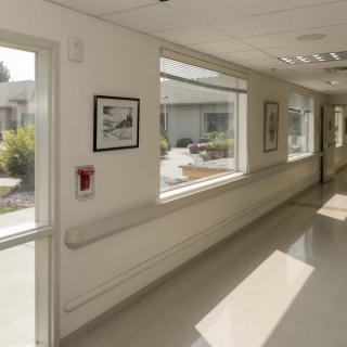 A sunlit hospital hallway with large windows and artwork on the walls.