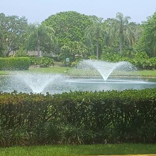 A serene view of a park featuring a tranquil lake with fountains and lush greenery.