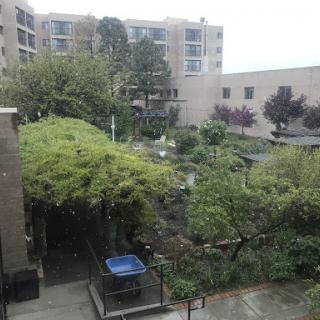 A serene urban garden viewed from an apartment balcony, showcasing lush greenery and a small outdoor space.