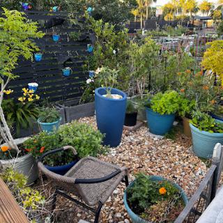 A cozy garden corner filled with various plants in colorful pots, creating a serene outdoor setting.