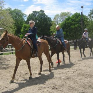 A group of people enjoying a horseback riding session outdoors on a sunny day.