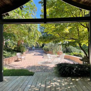 A serene view of a well-maintained garden from a wooden deck, bathed in natural sunlight.