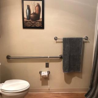 A bathroom equipped with a toilet, grab bar, towel rack, and wall artwork.