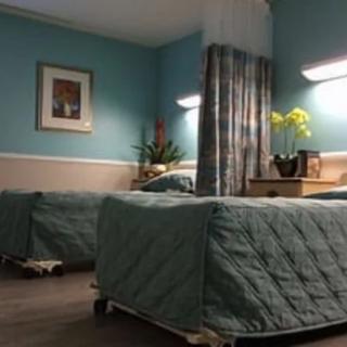 A hospital room with two neatly made beds, soft lighting, and decorative elements like plants and artwork on the wall.