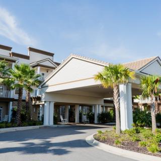 A modern hotel entrance flanked by palm trees and a circular driveway.
