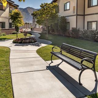 A sunny pathway with a bench, surrounded by residential houses and greenery.