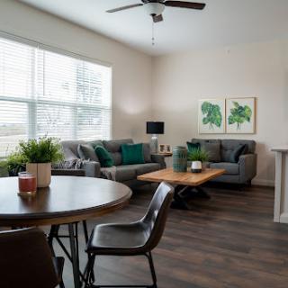 A modern and inviting living room with ample natural light, featuring stylish furniture and decorative plants.