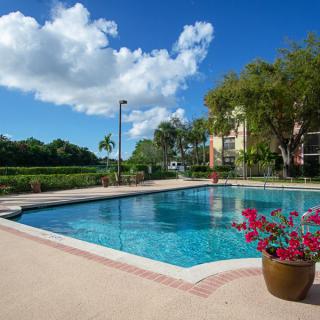 A serene outdoor swimming pool surrounded by lush trees and vibrant flowers under a clear blue sky.