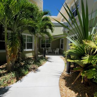 A pathway surrounded by lush tropical plants leading to a building.