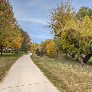 A scenic pathway surrounded by vibrant autumn trees.