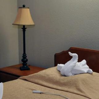 A hotel room with towel art on the bed and a lamp on the nightstand.