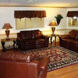 A cozy living room with leather sofas, a patterned rug, and warm lighting from table lamps.