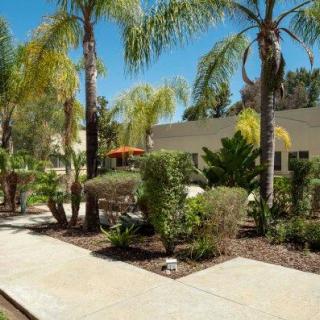 A well-manicured garden with palm trees and a paved walkway on a sunny day.