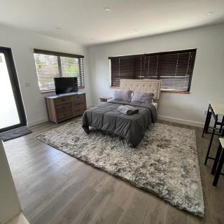 A modern bedroom with a cozy bed, stylish rug, and sleek furniture.