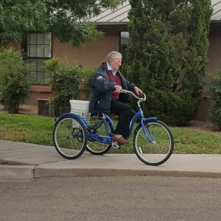 An adult riding a blue tricycle on a sidewalk near some trees.