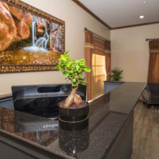 A sleek reception area featuring a bonsai plant and a waterfall painting.