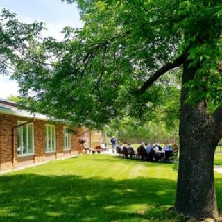 A group of people gather under the shade of a large tree near a brick building on a sunny day.