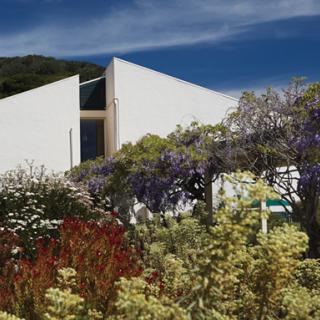 A modern white building surrounded by a lush garden with blooming flowers and trees under a clear blue sky.