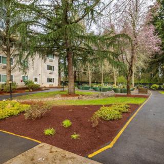 A well-maintained garden with a paved pathway, surrounded by trees and adjacent to a building.