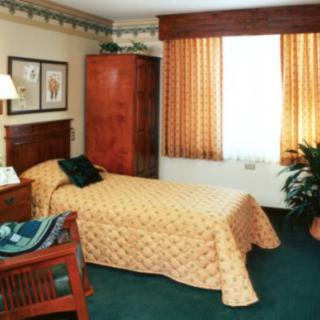 A cozy bedroom with a single bed, warm decor, and natural lighting.