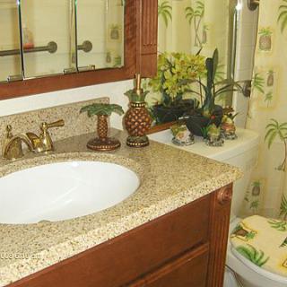 A tropical-themed bathroom with a decorative countertop and plants.