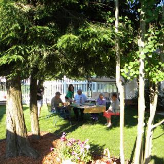 A sunny outdoor picnic where a group enjoys a meal together under the shade of trees.