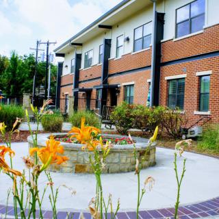 A modern brick building with a landscaped garden featuring orange flowers in the foreground.