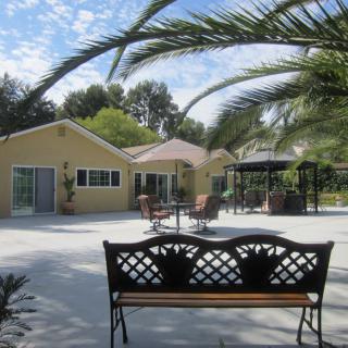 A spacious outdoor patio area with a bench, surrounded by palm trees and a house in the background.