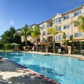 A sunny day at a hotel with an inviting outdoor swimming pool surrounded by palm trees.
