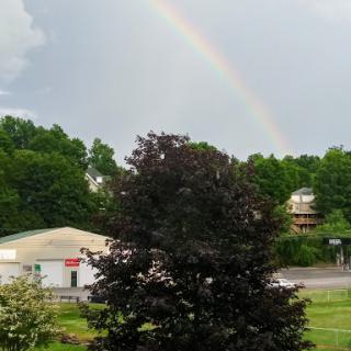 A beautiful rainbow arcing over lush green trees after a rain shower.