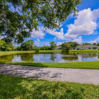 A serene park scene with a pond, surrounded by lush greenery and under a bright blue sky.