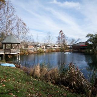 A peaceful pond surrounded by trees and a gazebo on a clear autumn day.