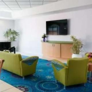 A modern living room with green sofas, a large television, and decorative plants.