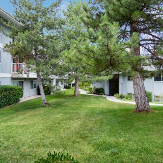 A well-maintained apartment complex with green lawns and tall trees.