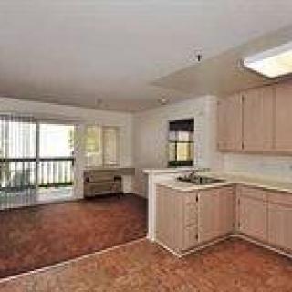 Empty kitchen and living space with wooden floors and ample natural light.