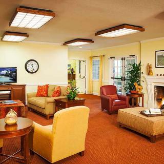 A cozy and well-decorated living room featuring comfortable seating, a fireplace, and modern lighting.