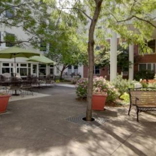 A serene courtyard featuring benches, trees, and potted plants under dappled sunlight.