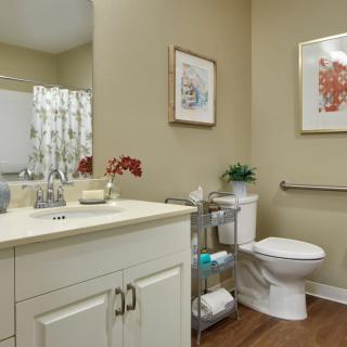 A well-organized bathroom featuring a vanity with a sink, a toilet accompanied by a towel rack, and decorative elements like framed artwork and a small plant.