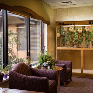 A cozy waiting area featuring comfortable chairs and natural light filtering through large windows, adorned with plants for a refreshing ambiance.