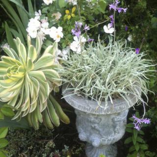 A decorative garden urn filled with plants and surrounded by lush greenery.
