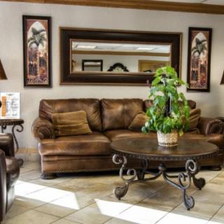 A cozy living room setup with a brown sofa, elegant coffee table, and decorative elements like a mirror and indoor plants.