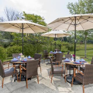A charming outdoor dining area with tables, chairs, and umbrellas amidst lush greenery.