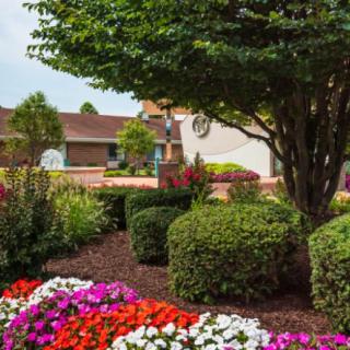 A beautifully landscaped garden featuring colorful flowers, neatly trimmed shrubs, and trees enhancing the outdoor scenery.