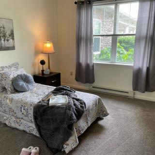 A cozy bedroom with a single bed, bedside lamp, and a large window letting in natural light.