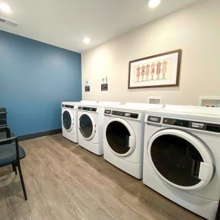A modern laundry room with a row of white washing machines and dryers against a blue accent wall.