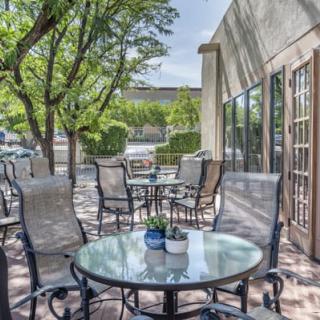 A sunny outdoor patio with tables and chairs surrounded by leafy trees.