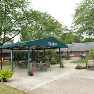 A serene outdoor seating area with a green canopy, perfect for relaxation amidst nature.