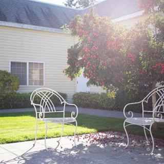 A sunny garden scene with two metal chairs on a patio in front of a house and trees.