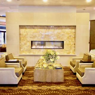 A luxurious lobby with a modern fireplace and comfortable seating.