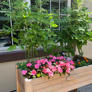 A vibrant garden planter filled with blooming flowers and lush green plants.